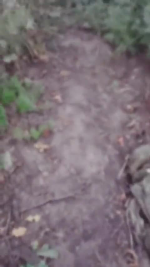 More Incredible Footage from Russian Wasteland