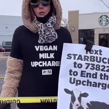 Crazy vegan covers her feet with concrete to protest Starbucks