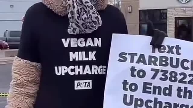 Crazy vegan covers her feet with concrete to protest Starbucks