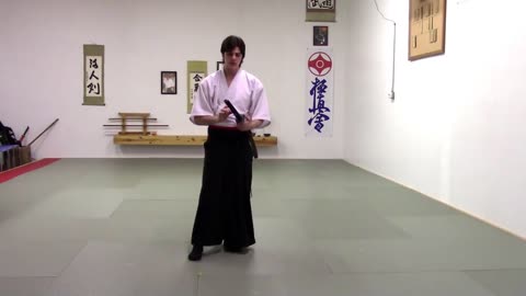 Sword review: Cas Hanwei Shobu-zukuri raptor