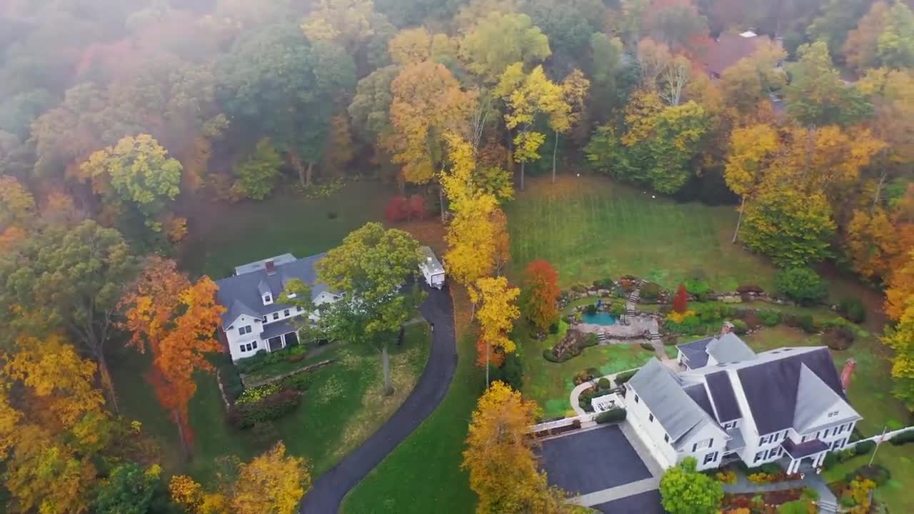 Enchanting Autumn Forests with Beautiful Piano Music