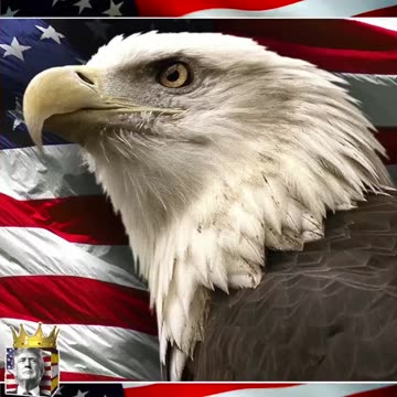 Leader Of The Most Powerful Political Movement In American History | 45+ 🇺🇸