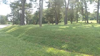 Shelby park part 2 rough draft