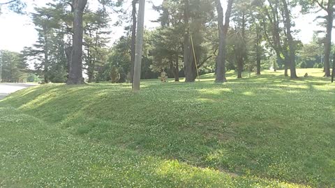 Shelby park part 2 rough draft