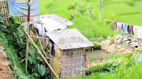 the road leads to the rice fields behind the house