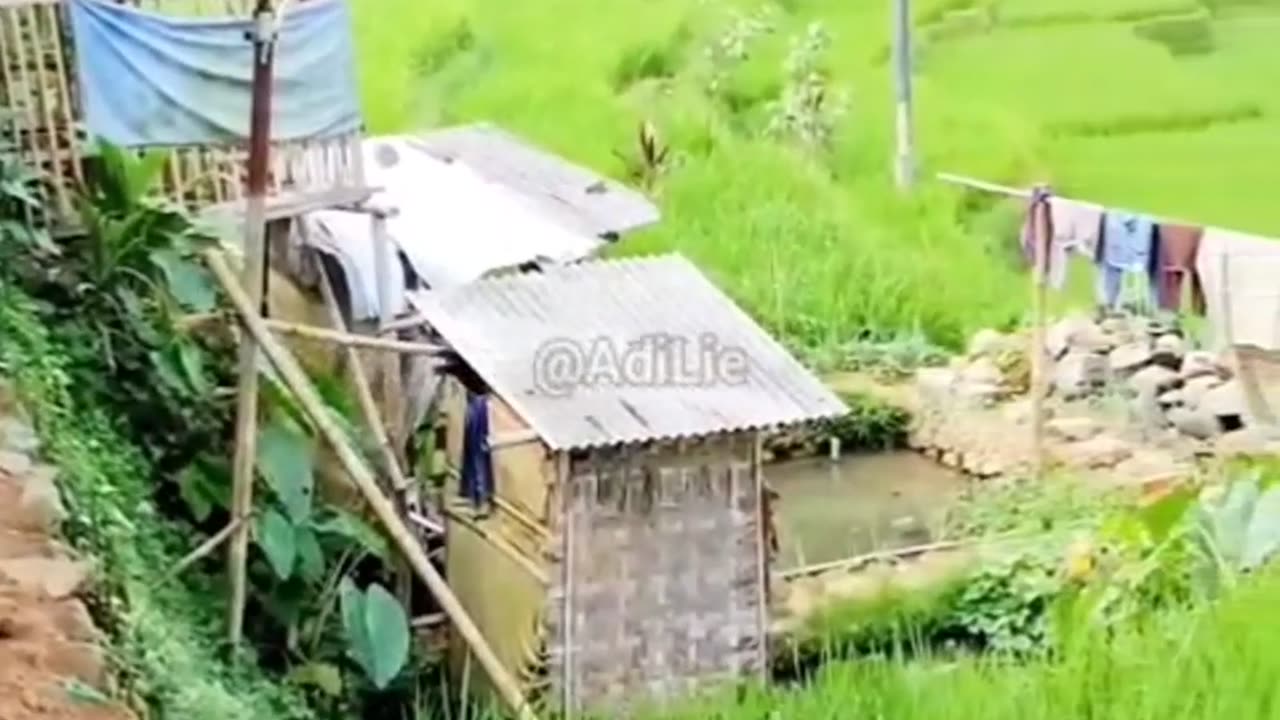 the road leads to the rice fields behind the house