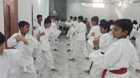 Martial Arts practice session