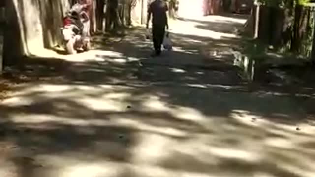 Viral