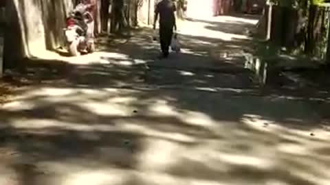 Viral