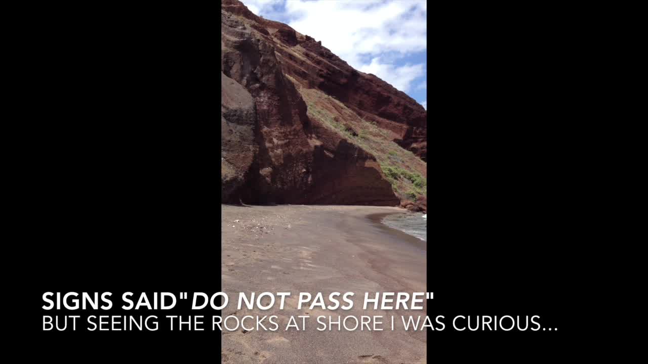 Trapped sea turtle surfs to freedom