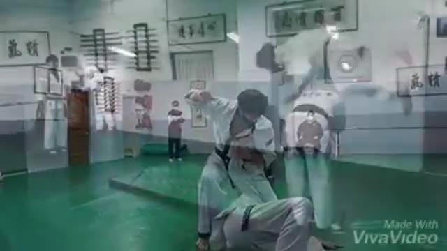 Hapkido