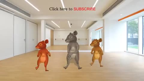 Rats Dancing Funny #fun #viral #tranding #kids