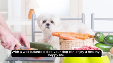 Dog Food & Health