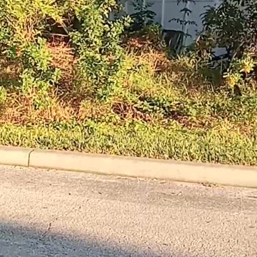 #PayingItForward 👀🙏✊️🌍