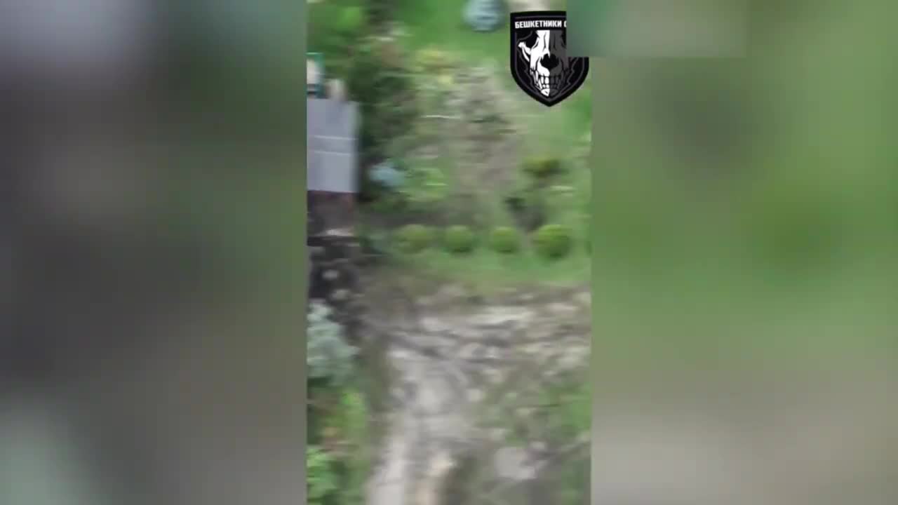 +18 Disturbing Video showing dead and wounded