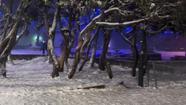 beautiful snow scene