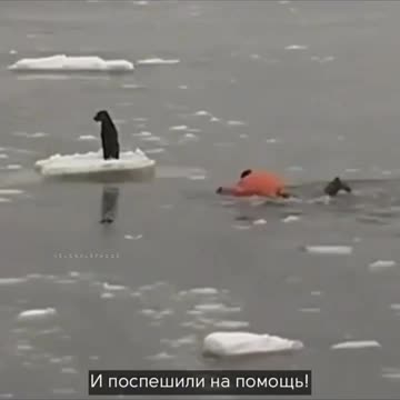 Thank the world for caring people!🙏🏻❤️