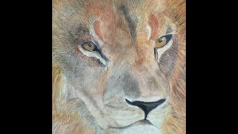 8-8-21 Lions Gate Meditation ~ Becoming Your Light Body & Quantum Consciousness