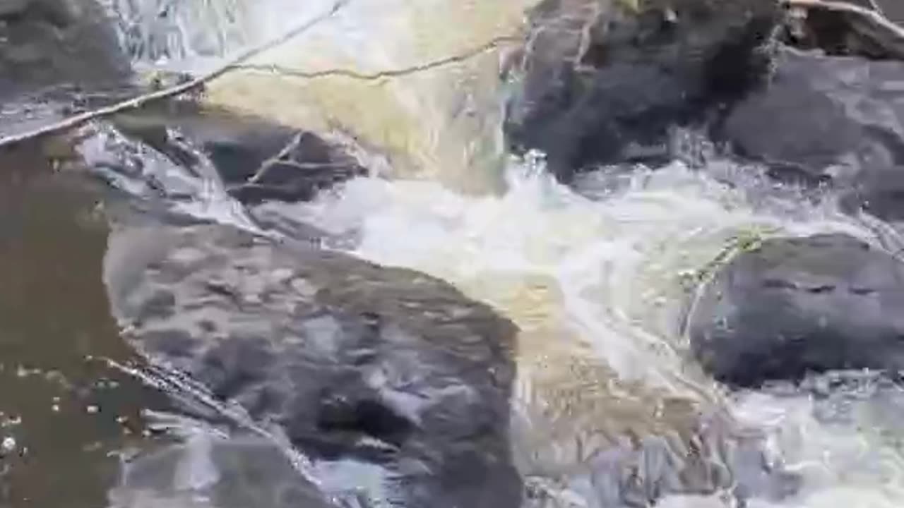 Cascades on Vartry river, Devil's glen walk, Wicklow,Ireland