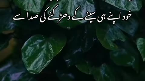 Allama iqbal