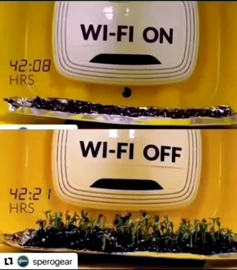 wifi and plants..
