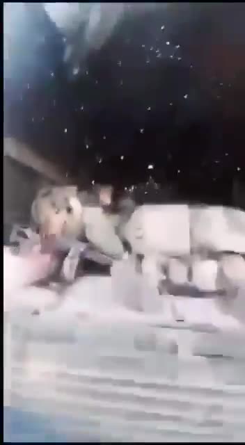 Himars Time! They should have stayed home....