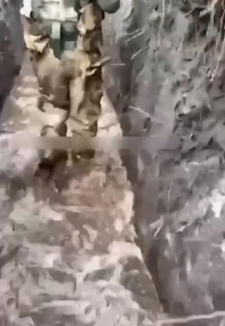 We Fear Nothing but the Thaw