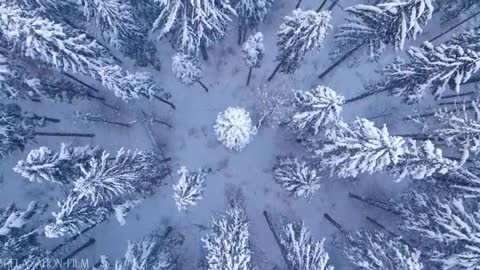 Snow Winter 4K Relaxation Film Meditation