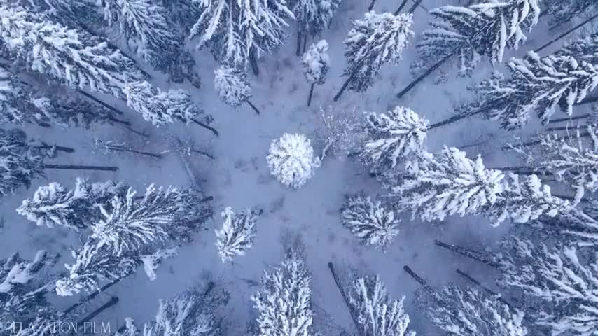 Snow Winter 4K Relaxation Film Meditation