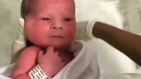 Cute Baby Video4