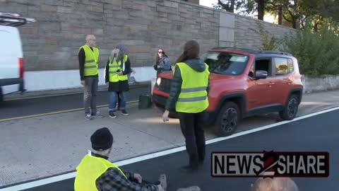 Woman EXPLODES on Climate Activists Blocking D.C. Highway