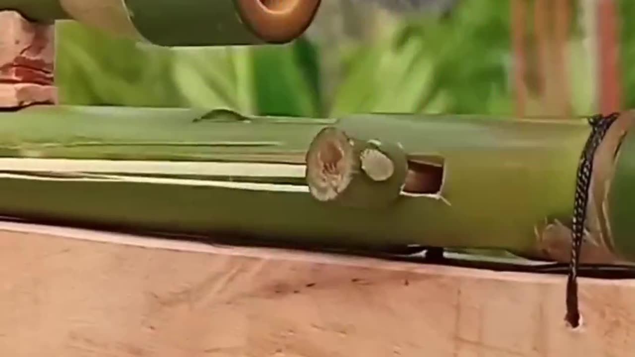 powerful bamboo slingshot gun