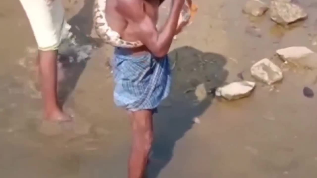 Big snake attack old man help own son