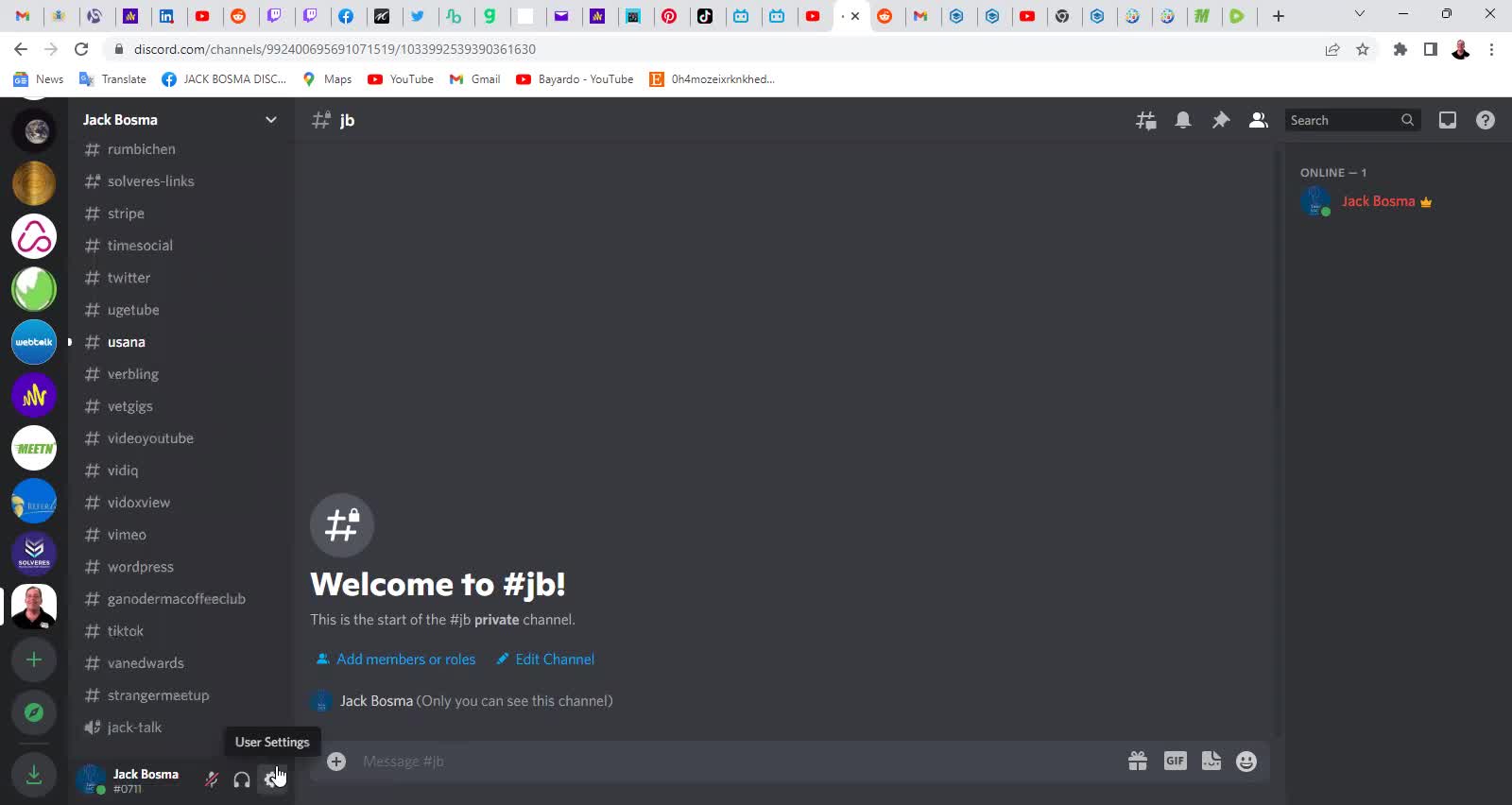Jack Bosma Is An Experienced Discord Server Administrator