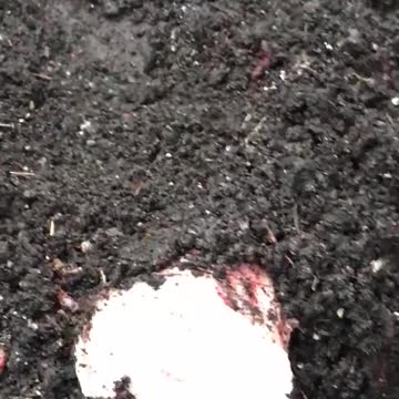 Rita n Babe’s happy birthday