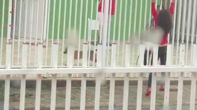 Kids Create Teeter-Totter Using Fence and a Ladder