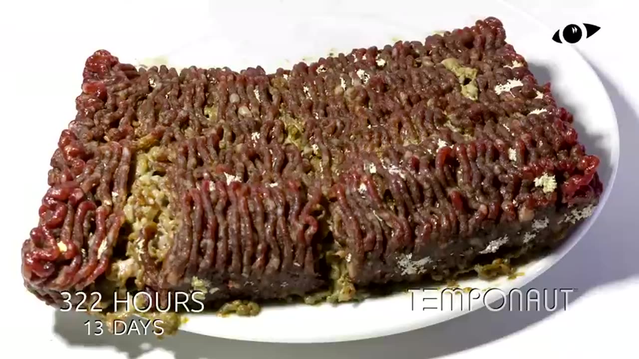 Minced Meat Time-Lapse