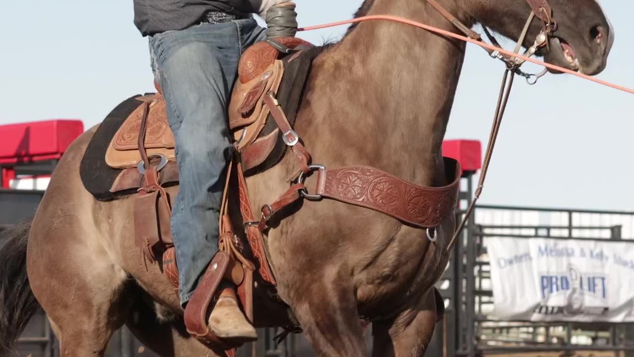 Border Town Rodeo