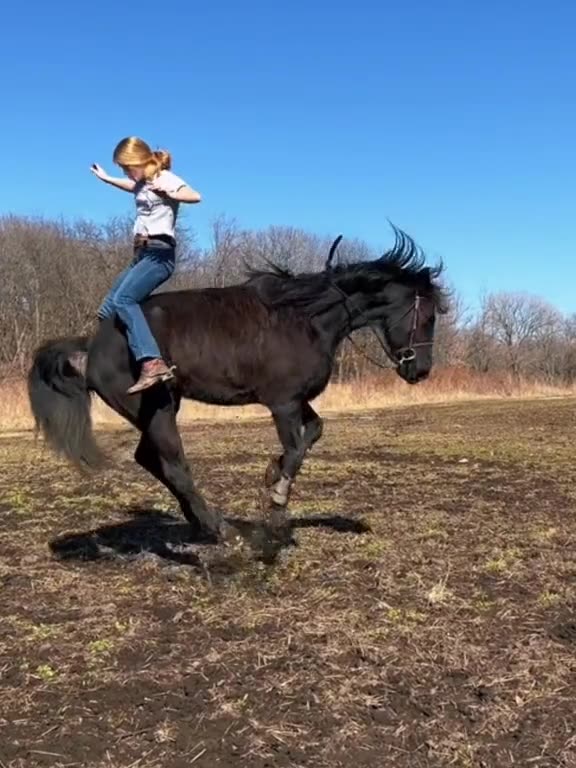 The girl amazing jump on hourse😱😱😱