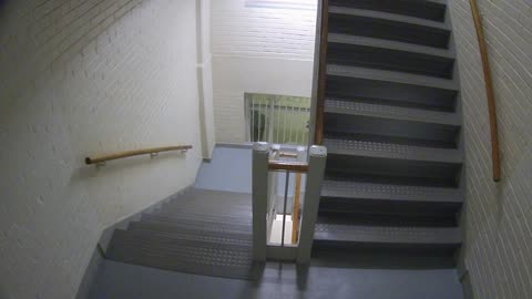 3883FHOB03Stair7_2021-01-05_02h14min13s690ms.mp4