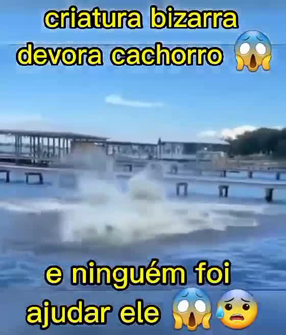 BIZARRE CREATURE DEVOTES A DOG AND NO ONE WENT TO HELP NOR GAVE TIME WATCH THE VIDEO AND SHARE