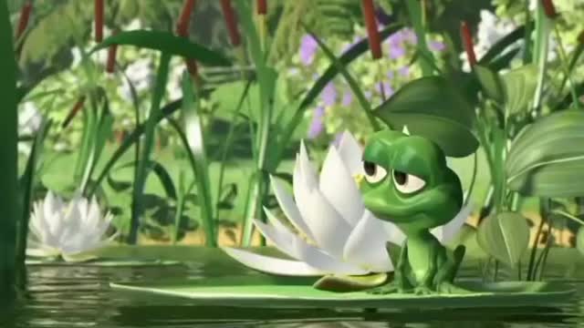 Funny animals music video