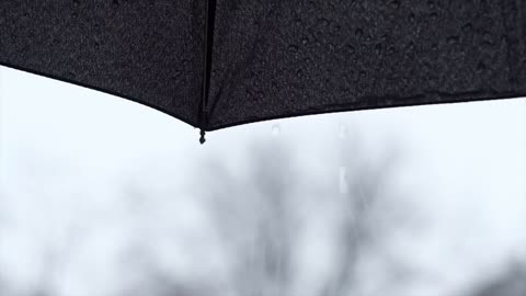 Rain falling on umbrella | ASMR