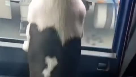 You lose if you are serious