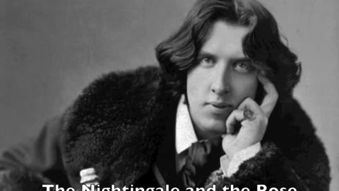 The Nightingale and the Rose (audiobook) (Oscar Wilde)