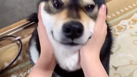 It's so funny. You try it, too.