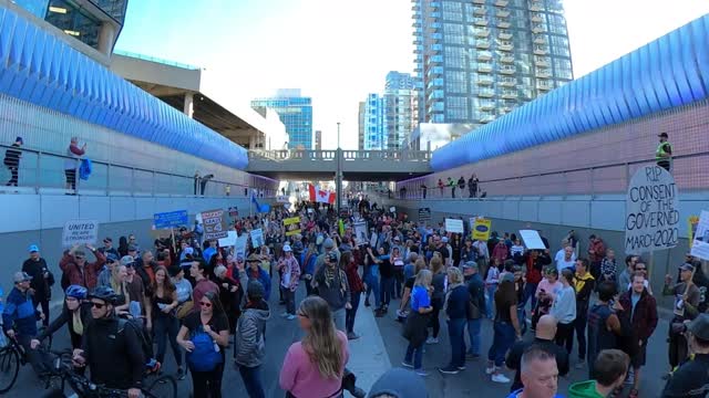 Calgary Freedom Central United For Freedom Rally | Canadians Stand For Freedom