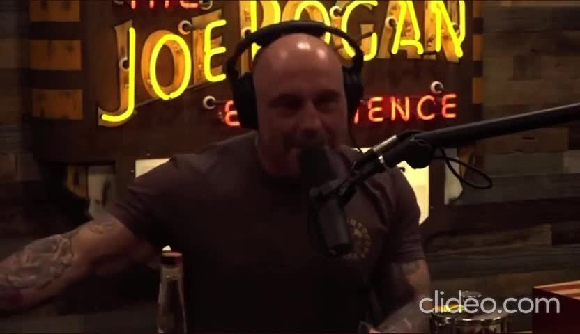joe rogan say things
