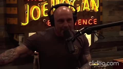 joe rogan say things