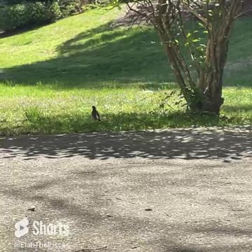 God will always provide! 😍🥰😘 #fyp #shorts